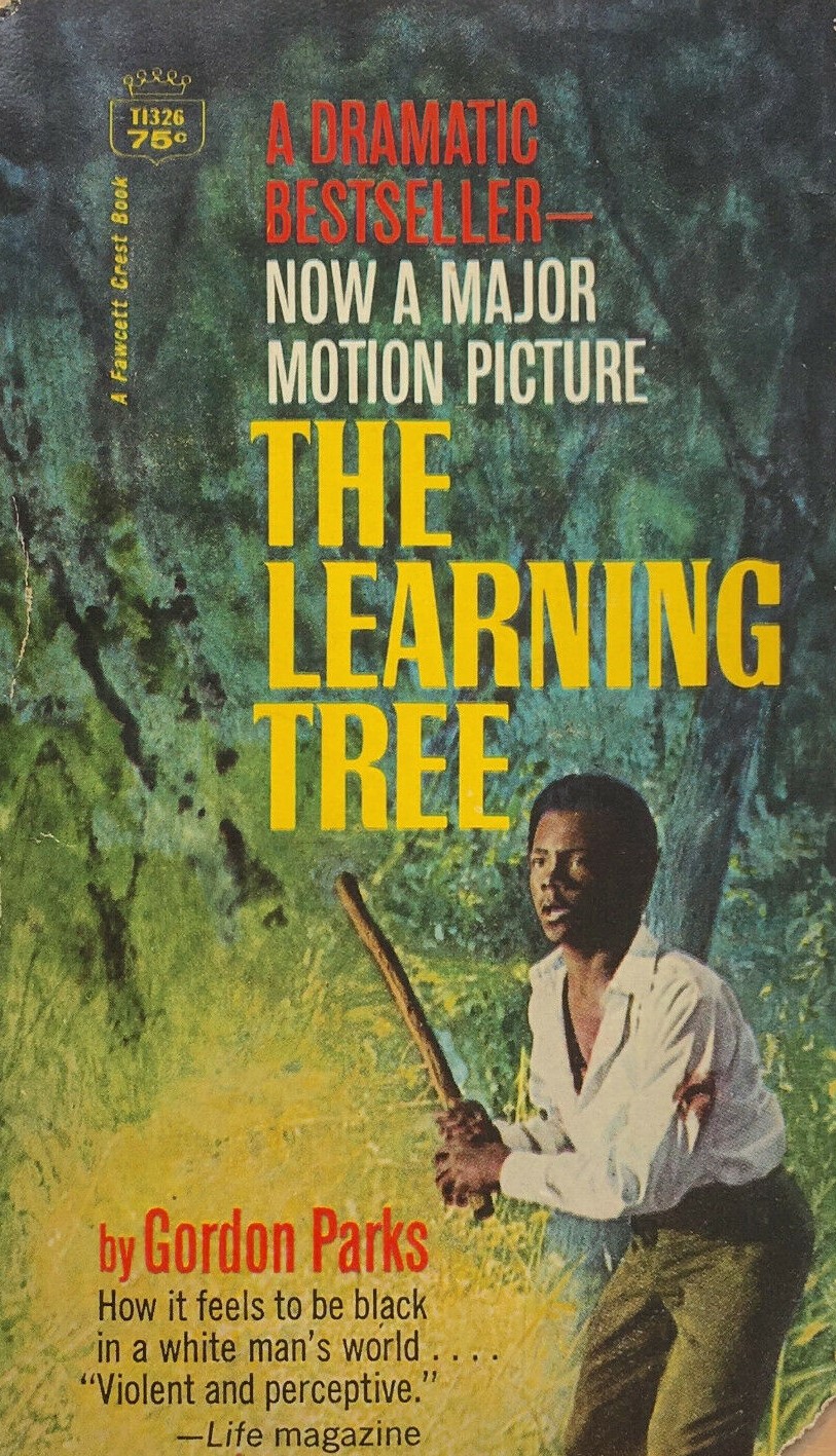 The Learning Tree (1969) **** – The Magnificent 60s
