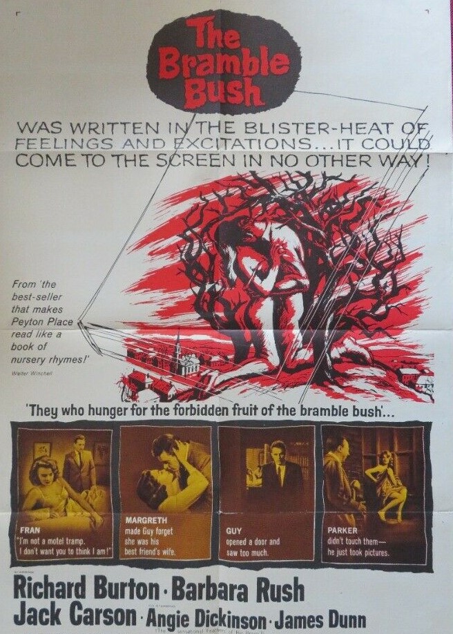 The Bramble Bush (1960)&nbsp;***