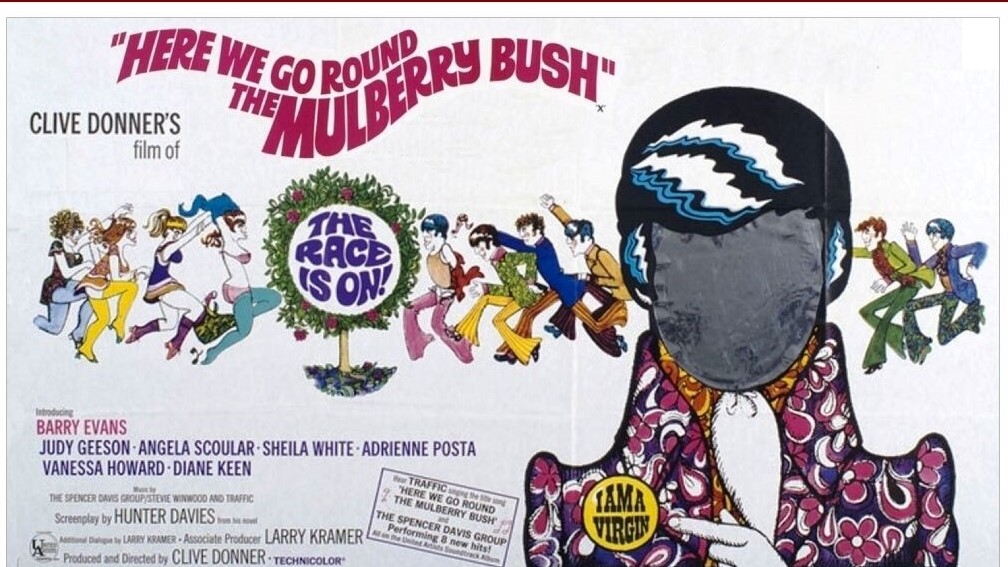 Here We Go Round the Mulberry Bush (1968) ** – The Magnificent 60s