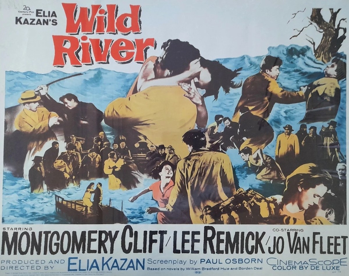 Wild River (1960)&nbsp;****
