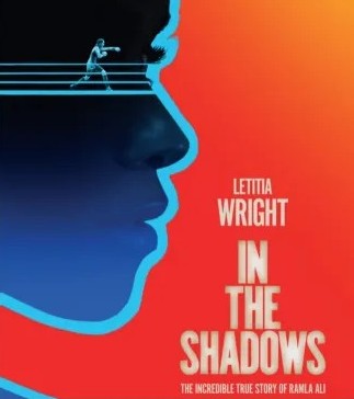 In the Shadows (2026) *** – Seen at the&nbsp;Cinema